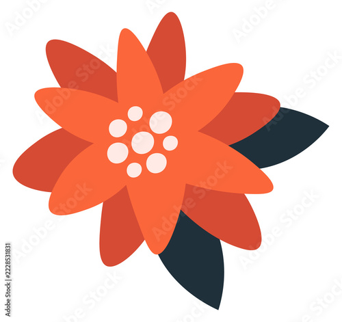 Christmas red flower color icon. Decorative blossom