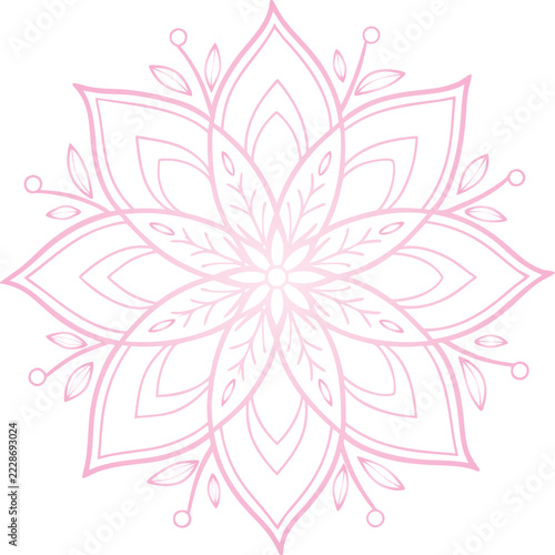 vector illustration of a flower