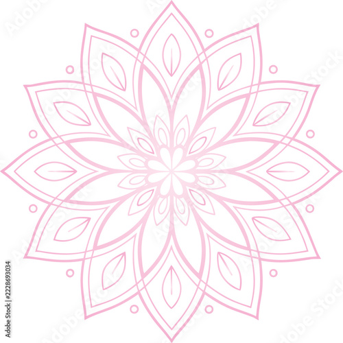 vector illustration of a pink flower
