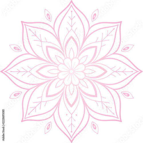 vector illustration of a flower