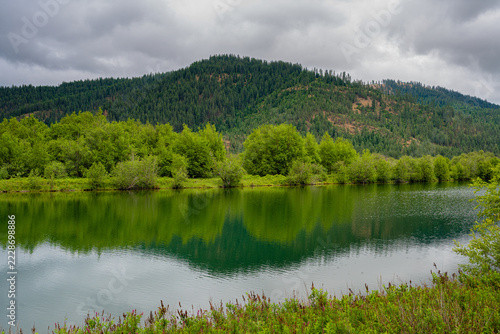 RIVER AND LUSH FOLIAGE NEAR THE MEIDMONT TRAILHEAD IN HARRISON IDAHO