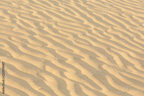 Jaisalmer Golden sand desert texture