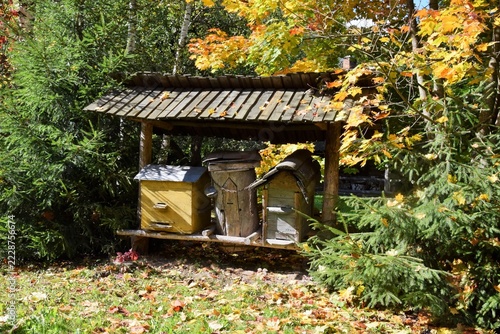 Autumn landscape. Wooden beehives in an autumn forest

