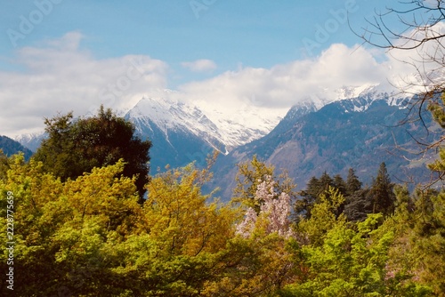 mount rainier national park, martelltal,Herbst