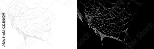 Fotografie Spider web isolated on transparent background with intricate silk