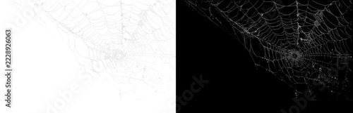 Fotografie Abstract spiderweb intricate geometric patterns on dark background