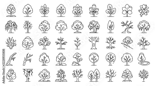 Frosted Woodland Trees Winter Vector Icons