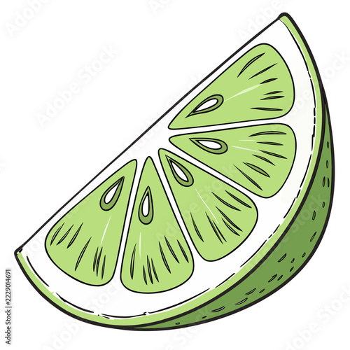 a lime wedge with bold black outlines, shown in a diagonal half-moon shape. It has light green juicy segments with small seeds and fine line detail, a white pith layer, and a textured dark green rind.