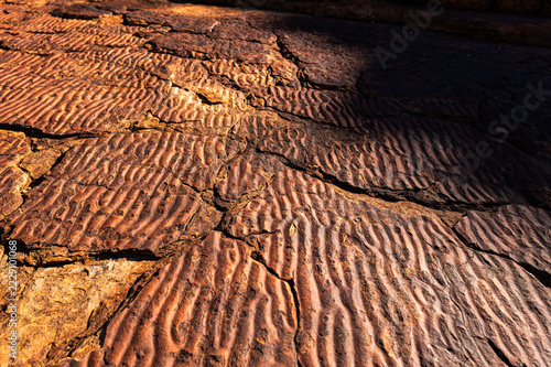 Fossilised ripple marks in red sandstone rock