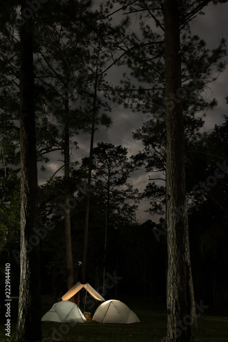 Camp tents glow in a pine forest at night.