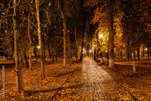 Paved pathway illuminated by streetlights in autumn park at dusk, surrounded by trees with colorful fallen leaves. Serene evening outdoor scene for calm mood.
