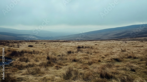 Wild moorland landscape features dry golden grasses and rolling hills under a heavy overcast sky in the remote countryside.