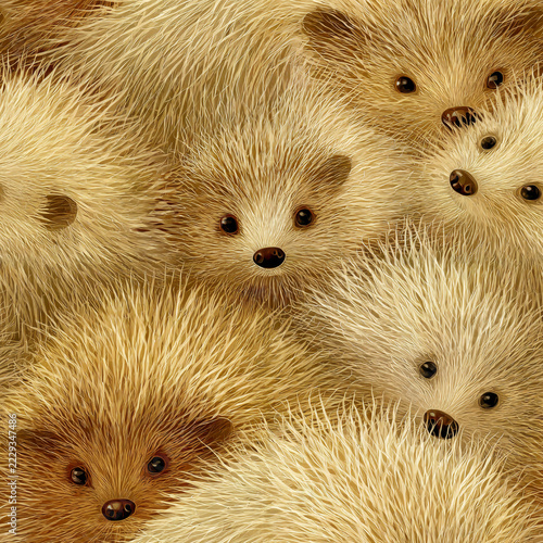 Hedgehog