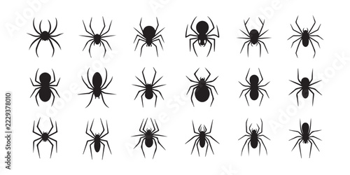 Diverse spider vector silhouettes featuring realistic anatomy for arachnology and halloween themes.