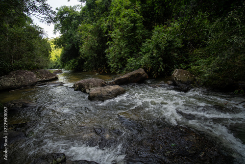 Natural River Rapids Flowing Through a Tropical Forest Landscape