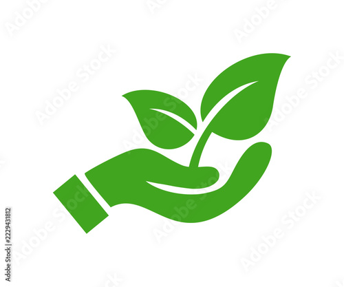 Hand nurturing a young plant, symbolizing growth, care, nature, sustainability icon.  Environment, sustainability, nature, green symbol vector design and illustration.
