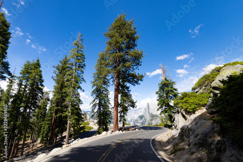 Winding Glacier Point Road through pine trees towards Half Dome in Yosemite California