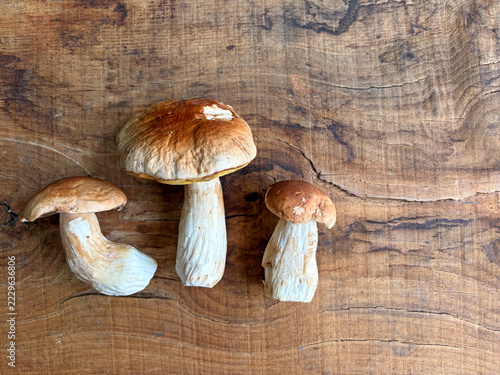 seta hongo boletus tres unidades limpios  sobre una mesa de madera país vasco IMG_9802-as26
