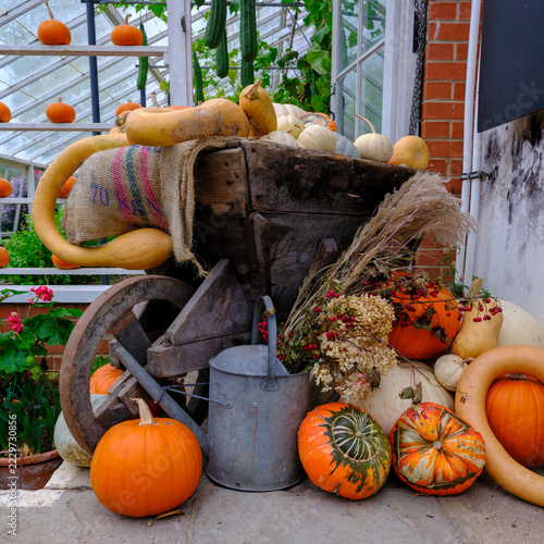 Display of autumnal pumpkins, Forde Abbey, Dorset