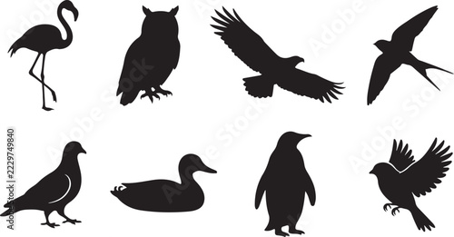 Set of diverse wild bird silhouettes including flamingo owl eagle and penguin