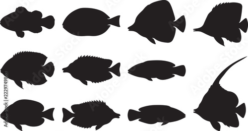 Set of various tropical fish silhouettes isolated on white background