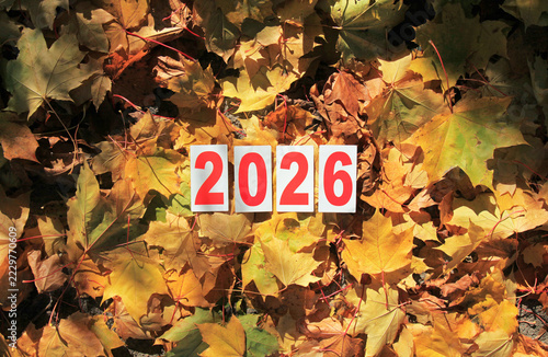 Autumn of 2026 year. Paper square numbers on the yellow maple leaves background. Coming fall. Autumn time in town, celebration concept. Outside walking in autumn forest in 2026. Falt leaves in park