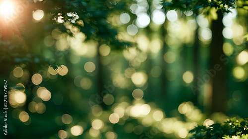 Fresh sunlit forest backdrop with soft emerald foliage blurred into delicate glowing circles
