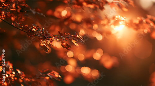 Bright autumn sunlight background with natural golden circular highlights and shallow depth of field