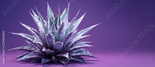 A spiky succulent plant, in shades of purple, against a solid purple background