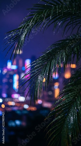 Lush palm fronds with city lights in the background at night.