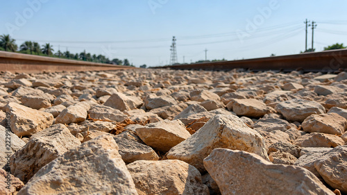 Rusty metal railroad tracks stretching across sunny rural landscapes featuring lush green palm trees under clear blue skies