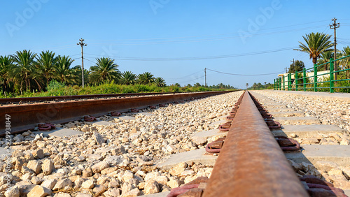 Rusty railway tracks stretching across sunny desert landscape featuring green palm trees under bright blue sky