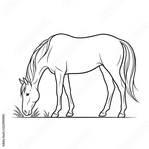 Side View Line Drawing of a Horse Grazing