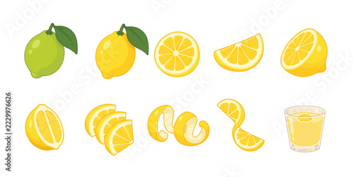 Lemon fruit illustration collection featuring whole lemon, slices, wedges, swirl, and lemon juice