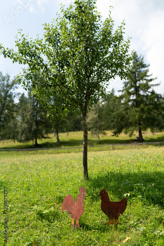 Iron silhouettes of chickens in a green meadow - Austria