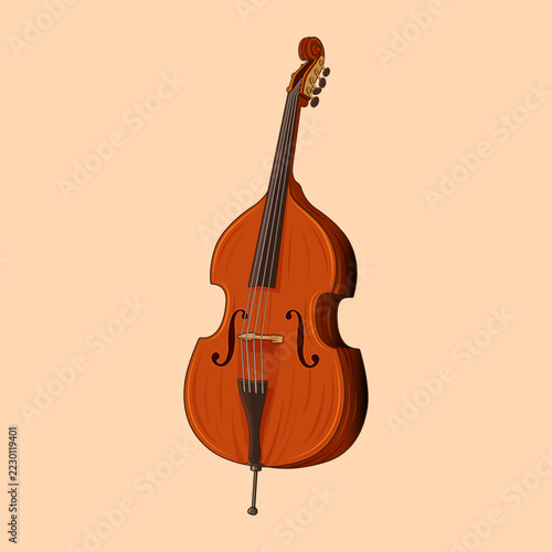 Contrabass Double Bass Musical Instrument Illustration on Peach Background