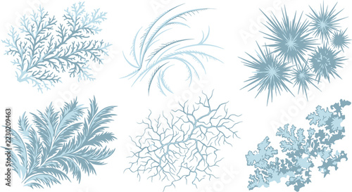 Frosty botanical elements with intricate ice patterns and delicate winter foliage in a cool palette