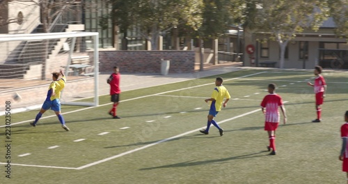 Soccer players in yellow jerseys celebrating goal on field during match