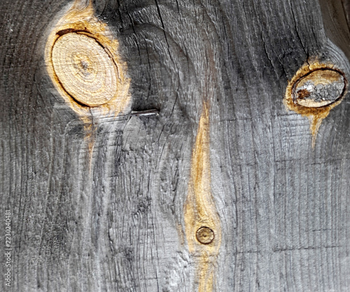 Texture of a wooden surface with cracks. Background of cracked wood, texture of planks with knots.