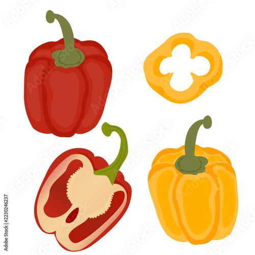 Flat design of various pieces of red and yellow bell peppers. Vector illustration.