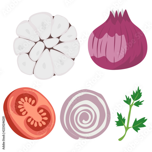 Flat design featuring various types of shallots, garlic, celery leaves, and tomatoes. Vector illustration.