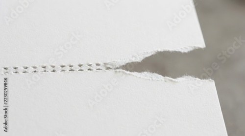 Notebook paper torn spiral edge