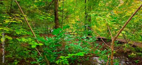 A view of the magnificent landscapes of Plitvice Lakes National Park in Croatia