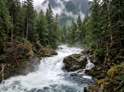 Fast flowing river with white water rapids through rocky forest landscape green trees and mountain background.