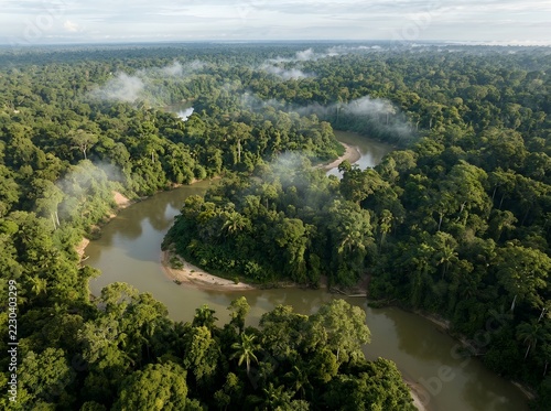 Aerial view of dense Amazon rainforest with a winding river and clouds.