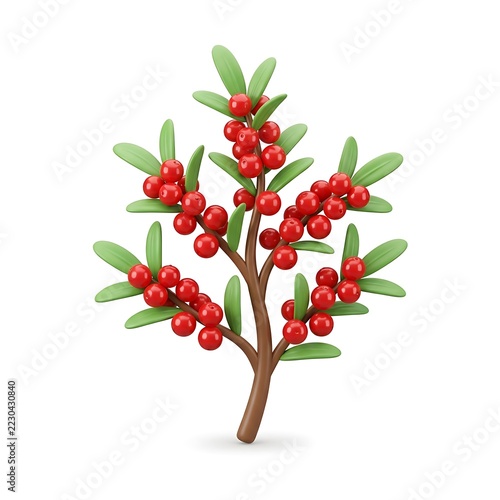 3D rendered red berry bush branch with green leaves isolated on a plain white background