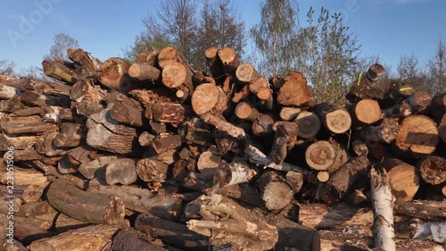 A large pile of cut timber logs rests stacked beside a paved road. The forestry supply of raw wood is stored outdoors
