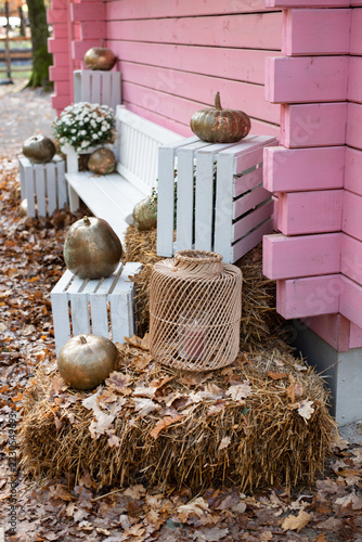 Glamorous autumn setup with pink log cabin facade, gold painted pumpkins, and seasonal foliage