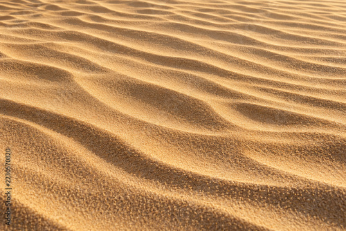 Warm desert sand with fine wind shaped ripple patterns