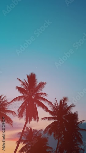 silhouette of palm trees against vibrant orange and purple sunset sky, tropical coastal landscape view with warm sun flare during dusk 4k timelapse, vertical video hyperlapse